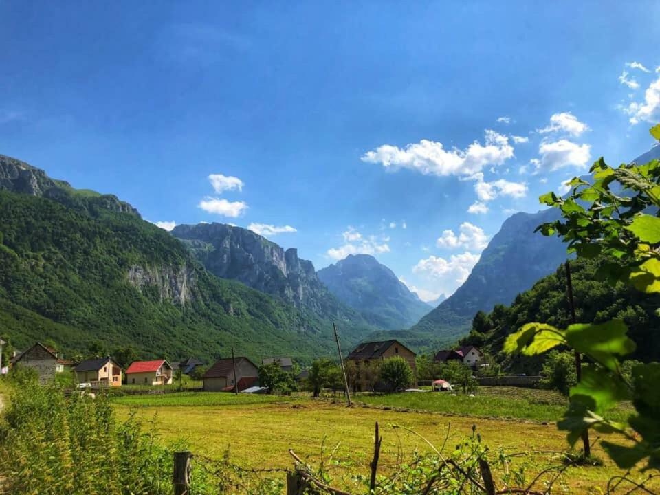 Bungalows-Oaza Vusanje Екстер'єр фото